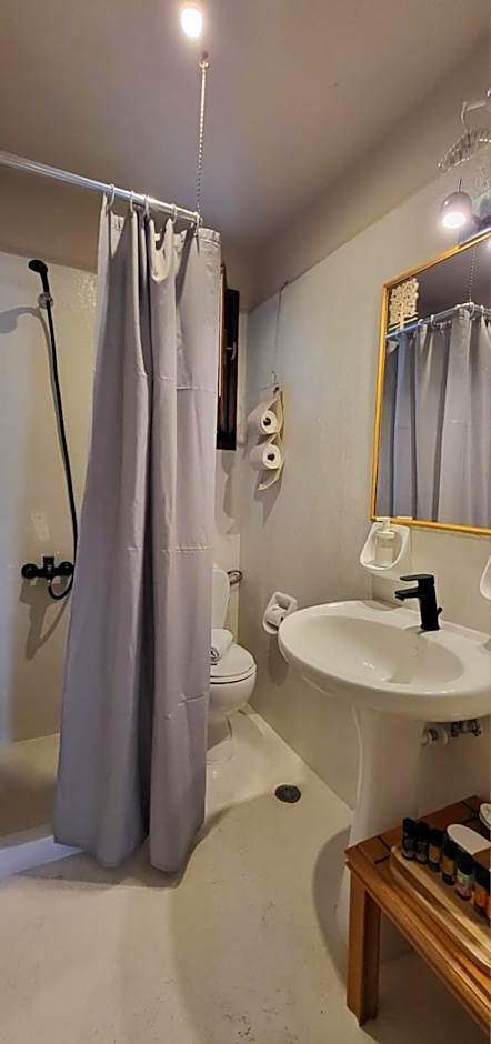 Tree of Life Art Hotel