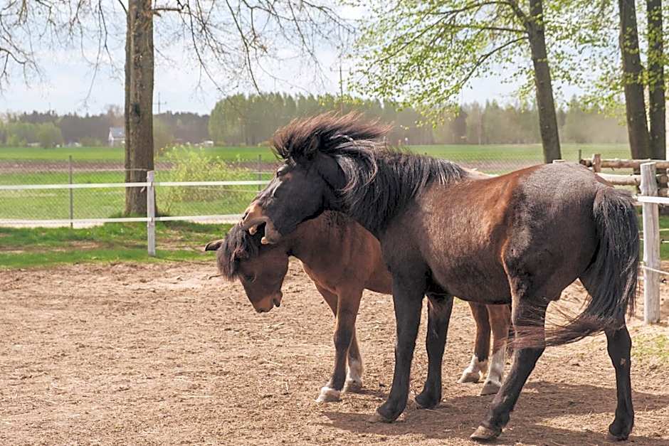 Pensjonat Zielone Podlasie