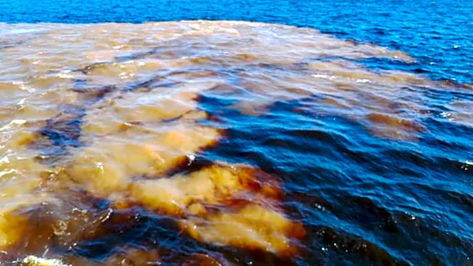 Seringal jungle Lodge