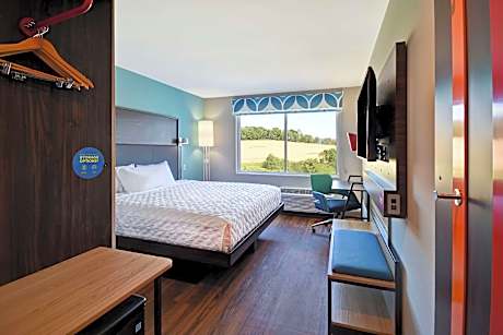 1 King Bed