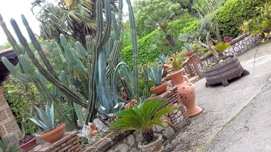 B&B il giardino di Eolo