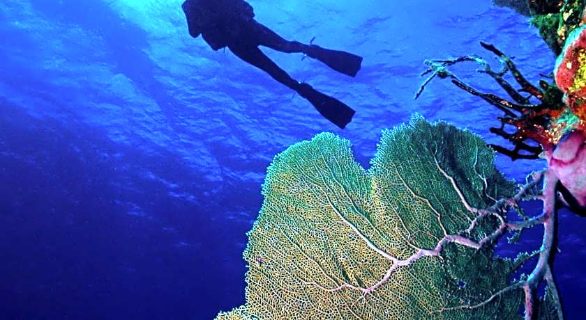 Sairee Sairee Guesthouse