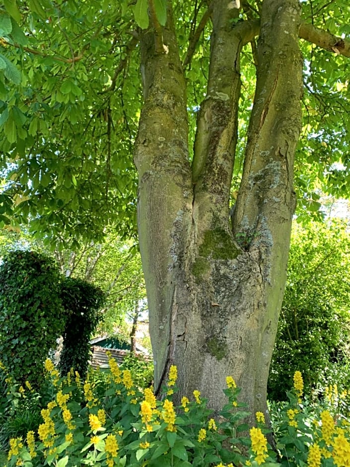 B&B De Vlasboerderij