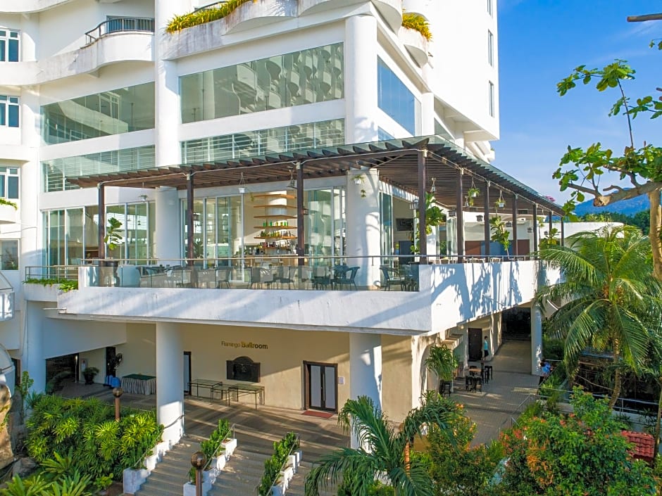 Flamingo By The Beach