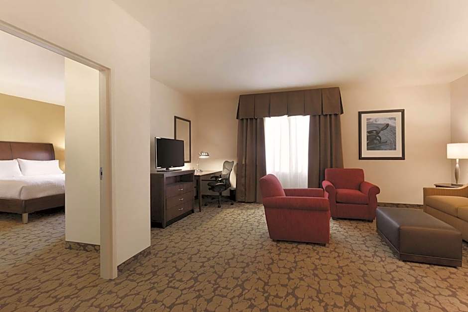 Hilton Garden Inn Rochester Downtown