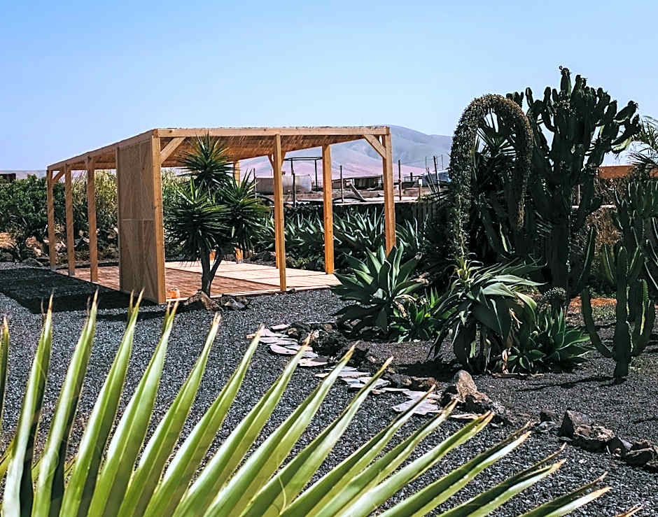 Surf & Yoga Retreats Fuerteventura