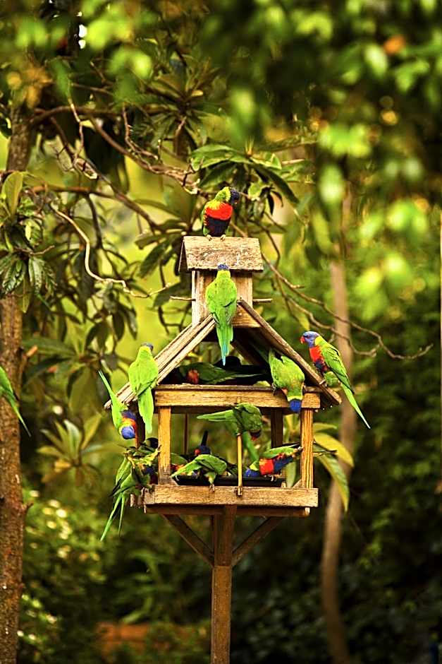 BIG4 Crystal Brook Tourist Park