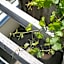 Das Biorefugium Theiner's Garten