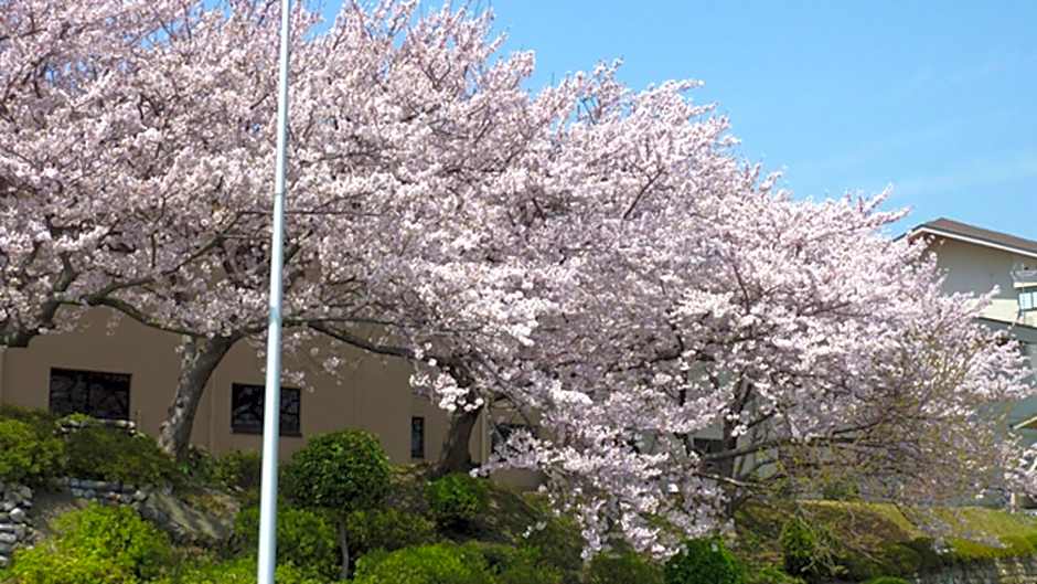 Kyukamura Kishu-Kada