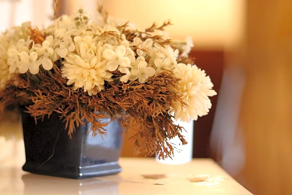 Pokoje Szczawnica Centrum - duży ogród