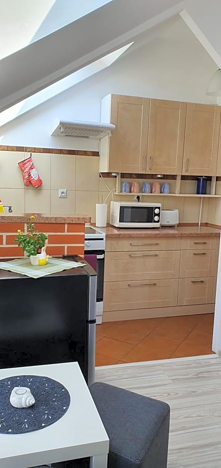 Apartament i Pokoje Gościnne MUSZELKA
