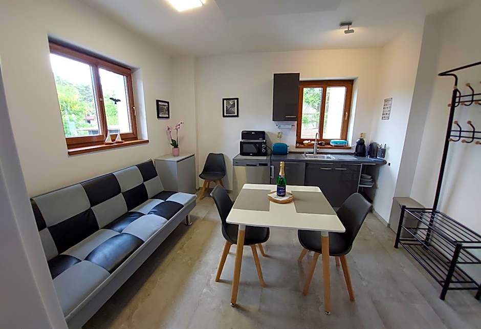 Apartmány FELSENBURG Staré Splavy