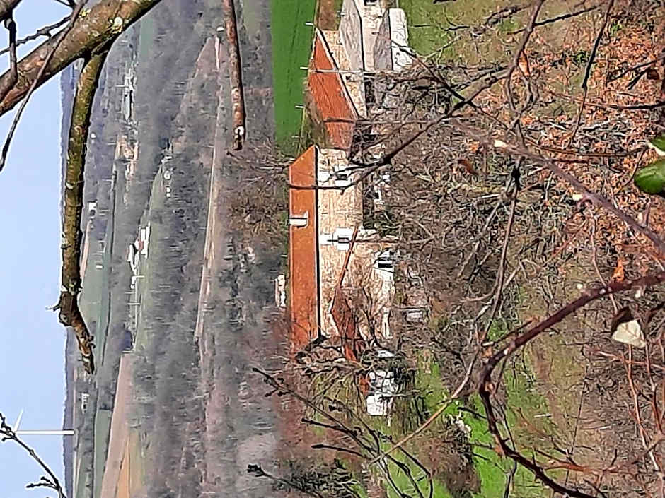 L'Echappée Trémoussante