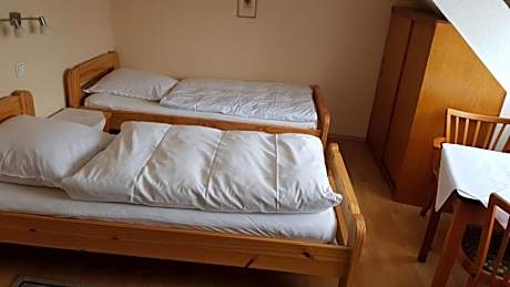 Deluxe Double Room with Shower