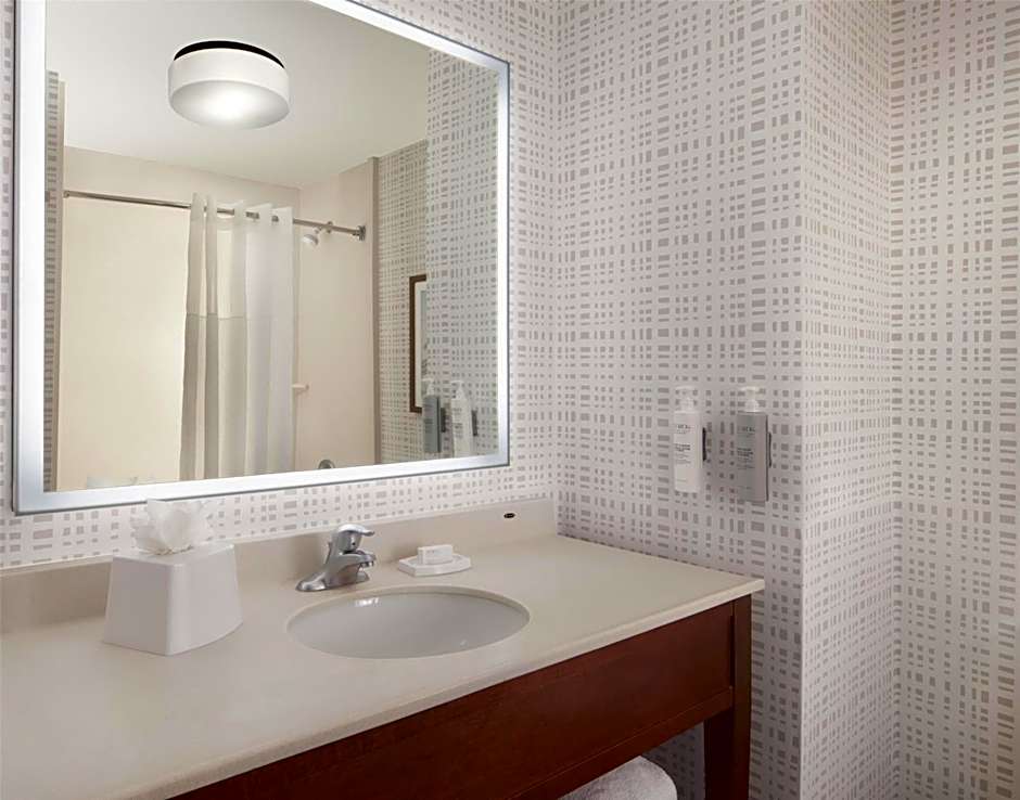 Hampton Inn By Hilton And Suites Tampa-North