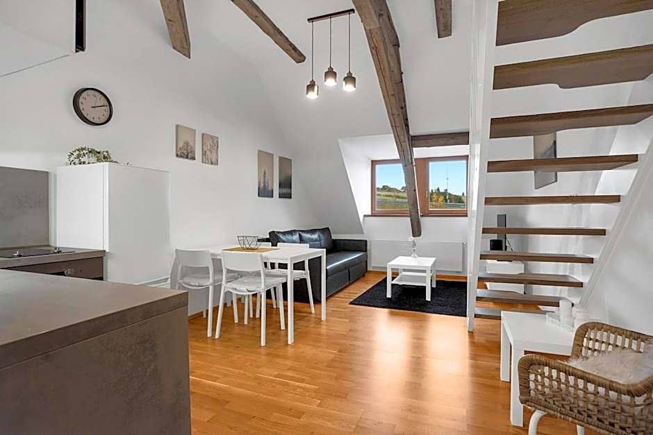 U Pivovaru - Apartments Boží Dar