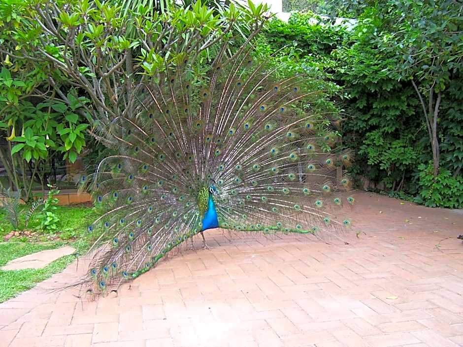 Foxwood House Boutique Hotel