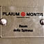 Plaium Montis