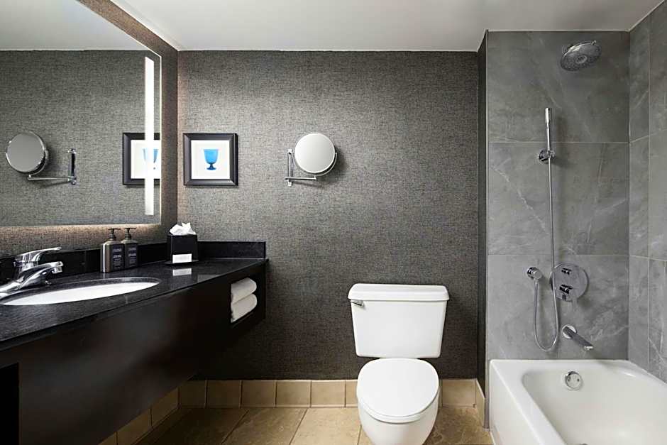 Sheraton Dfw Airport Hotel