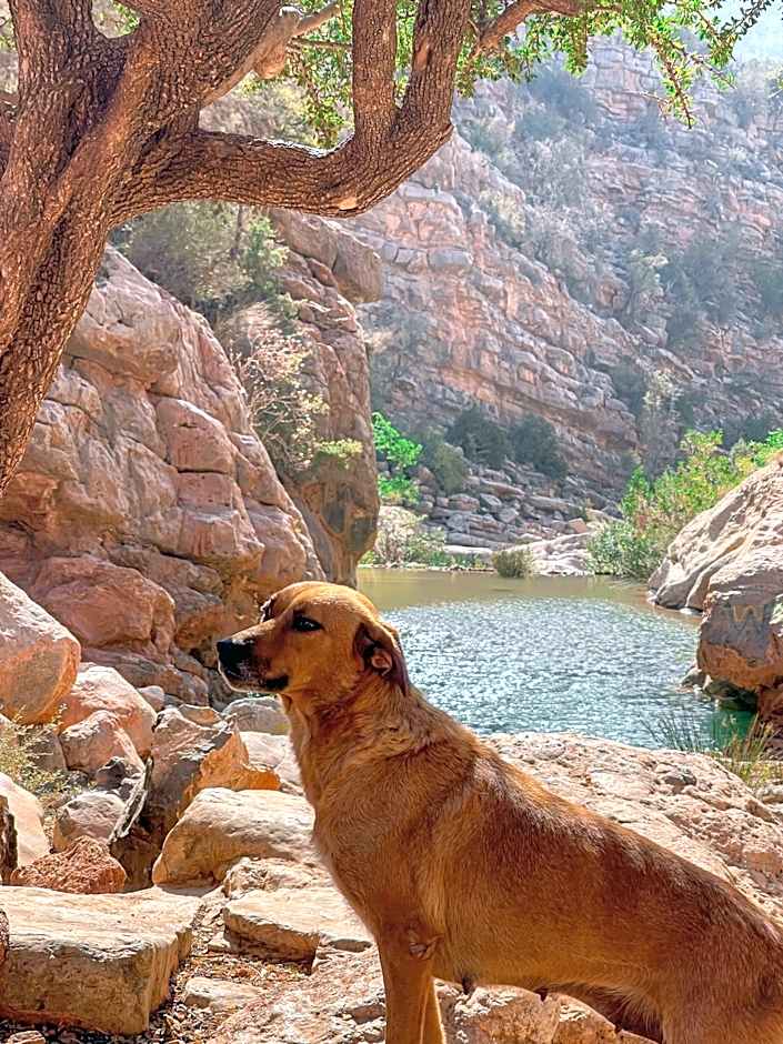 tifrit maison d'hôtes-Paradise valley