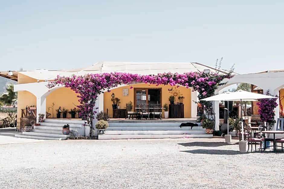 Hacienda Las Animas