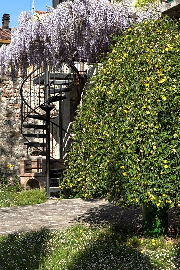 B&B la Casa del Sole - Tenuta dei Conti Romano