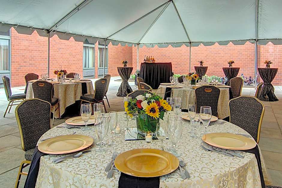 Holiday Inn Washington-Dulles International Airport By IHG