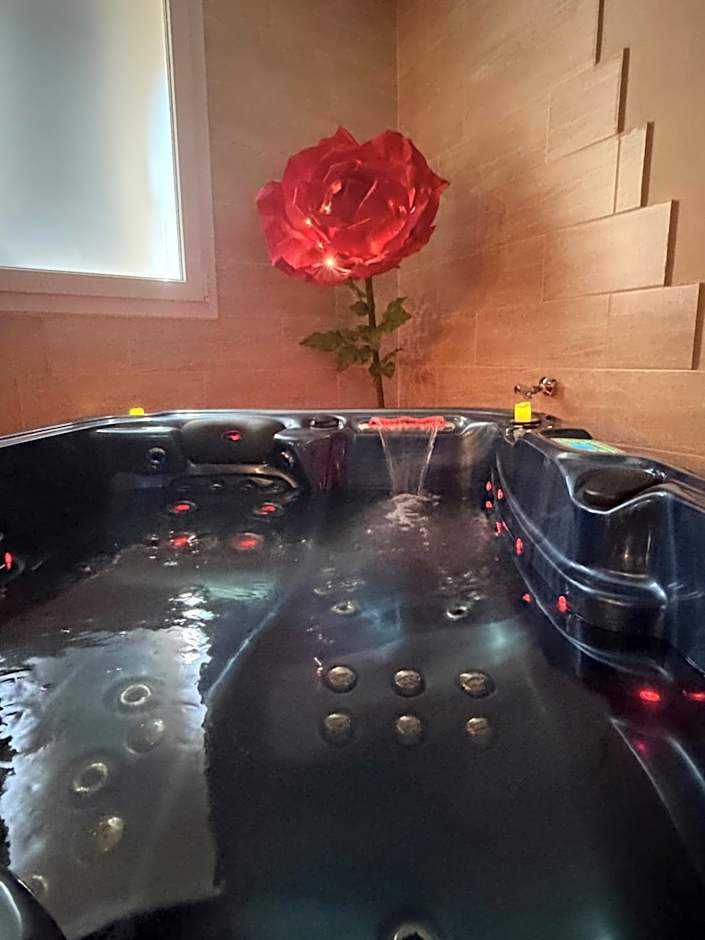 Le Cocon SPA Évasion Privée - jacuzzi -