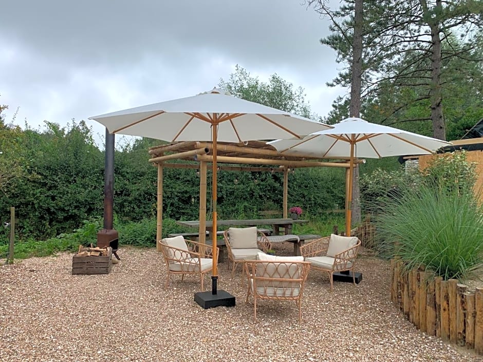 Loft aan Zee Bergen- Schoorl