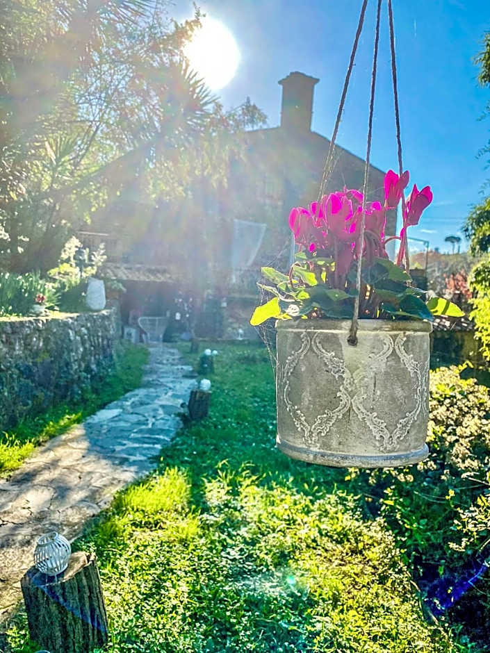 Guest House Antico Frantoio Pietrasanta Affittacamere