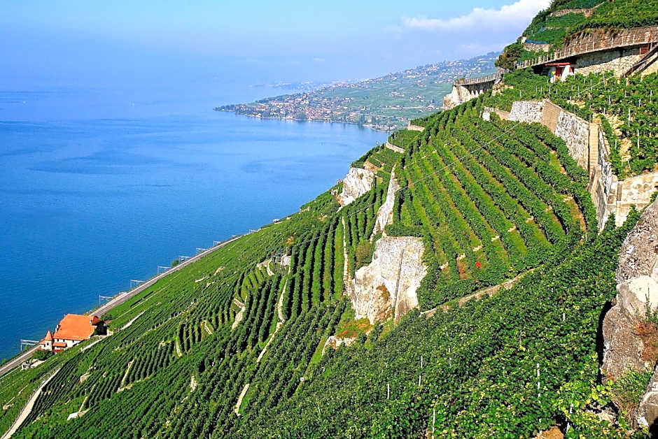 ibis Lausanne Centre