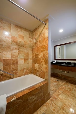 Deluxe One-Bedroom Apartment