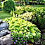 Seascape Coastal Retreat - 2 ADULTS ONLY - HOT TUB AND WITHOUT HOT TUB OCEANFRONT PROPERTY