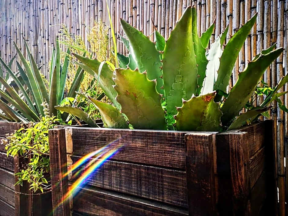 El Diablo y la Sandia B&B