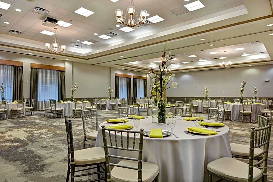 Hilton Garden Inn Orlando Lake Buena Vista