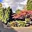 Ashfield Bed & Breakfast
