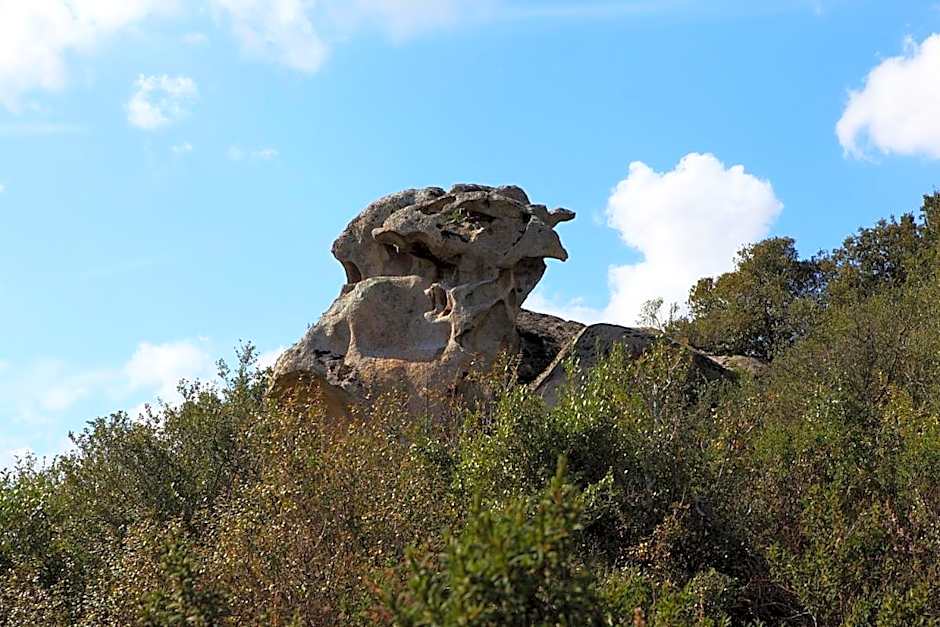 B&B Terra e Smeralda