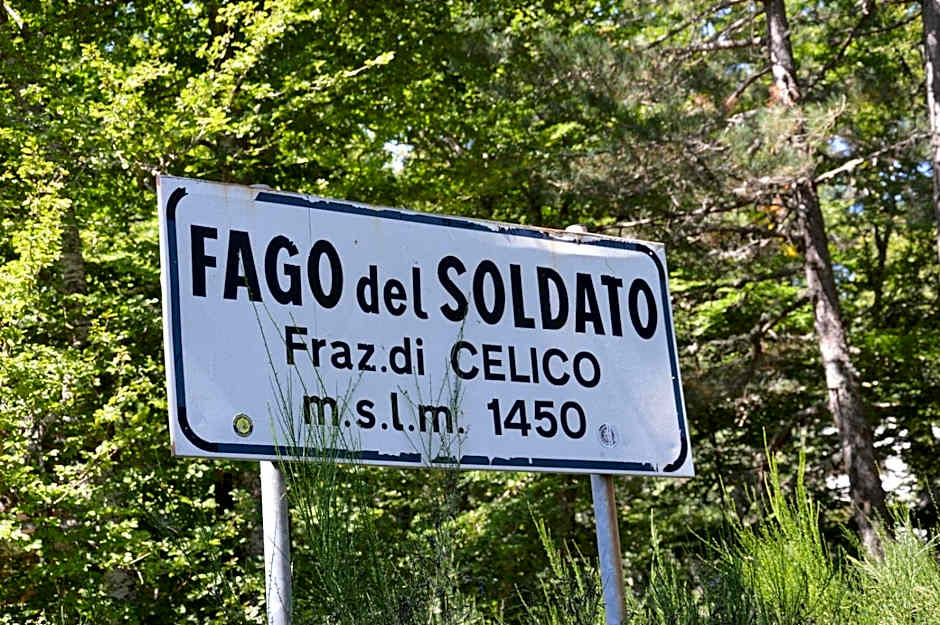 La casa nel bosco