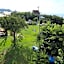 Pension Alba - Vacation STAY 70925v