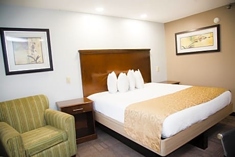 1 King Bed Deluxe Room Non-Smoking