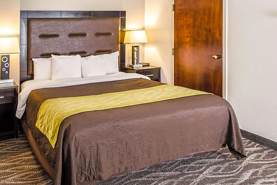 Comfort Inn Downtown Charleston