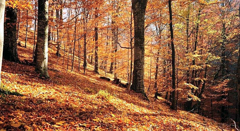 B&B Les Lits de Nohaipre