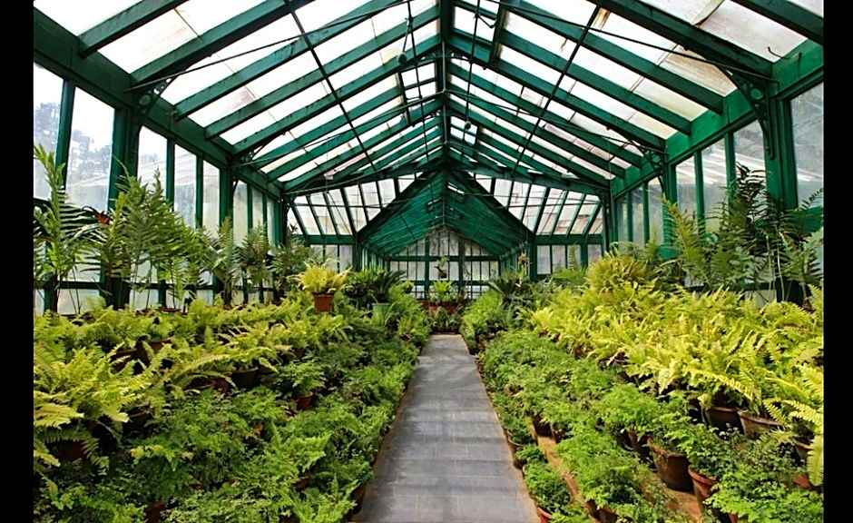 Savoy - IHCL SeleQtions, Ooty