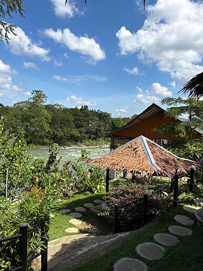 Asim Paris Guesthouse & jungle trekking