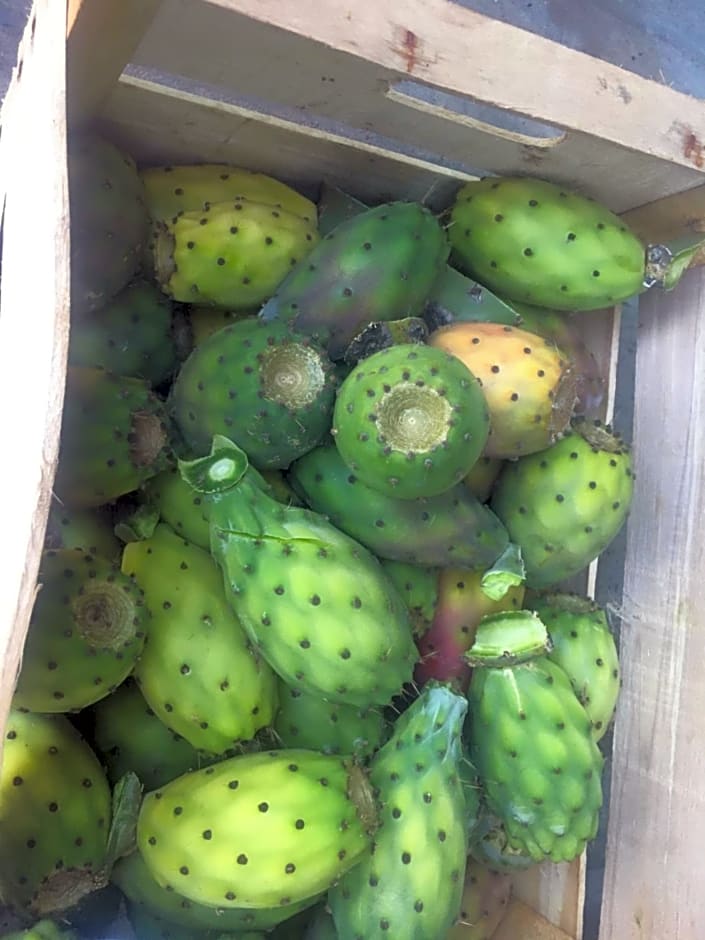 Tenuta Nonno Carmine