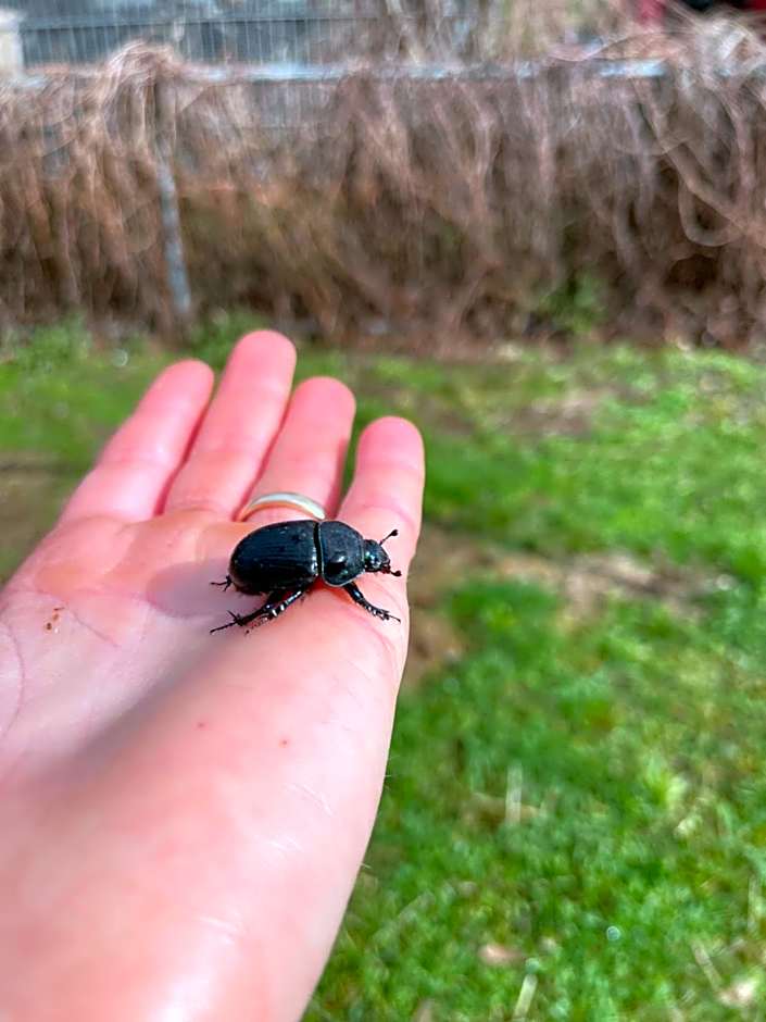 Eichenhof Hotel Garni