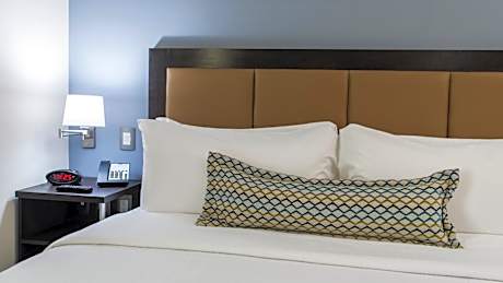1 King Bed Studio Suite