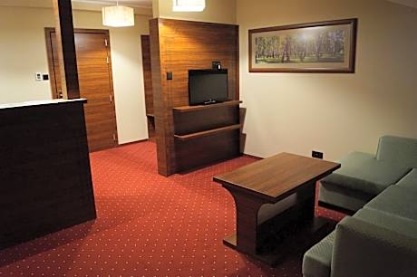 Deluxe One-Bedroom Apartment