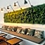 HOSTEL ALAMEDA EXCLUSIVE HOUSE