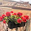 B&B Oriental Palace